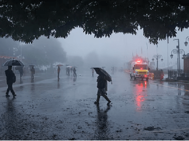 Summer Express - हरियाणा में समय से पहले पहुंचा मानसून, तीन दिन भारी बारिश के आसार