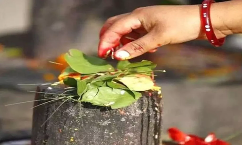 Summer Express - शिव आराधना में बिल्व पत्र का महत्व: प्रकृति से पूजा तक का आध्यात्मिक संदेश