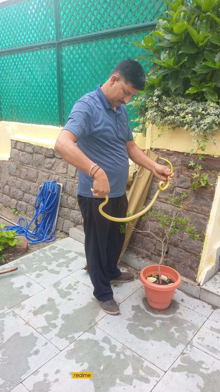 Summer Express - संयोग या संदेश? वर्ल्ड स्नेक डे पर DGP आवास में सांप, RRT ने किया सुरक्षित रेस्क्यू