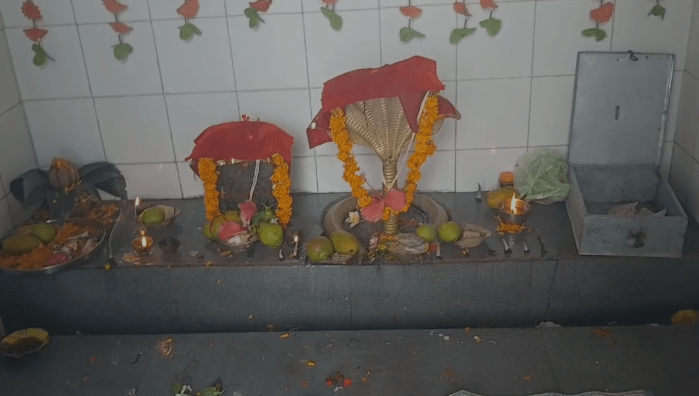 Summer Express - नाग मंदिर मोईन में भंडारे का आयोजन, ग्रामीणों ने की सुख-समृद्धि की कामना