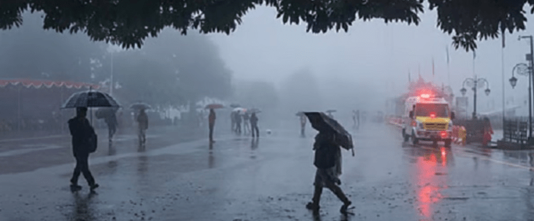 Summer Express - हरियाणा के इन जिलों में मौसम का कहर? बारिश का हाई अलर्ट जारी