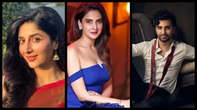 Summer Express - भारत में फिर से दिखने लगे पाकिस्तानी कलाकारों के सोशल मीडिया अकाउंट्स, बैन हटने के संकेत
