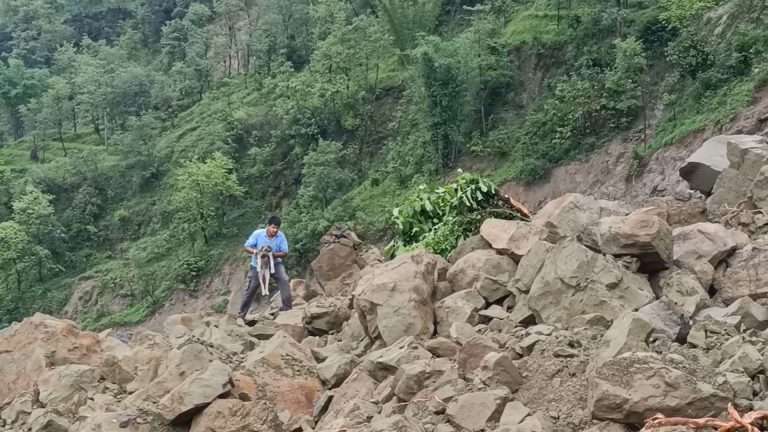 Summer Express - वफादार कुत्ते ने भौंक कर बचाई परिवार की जान.. खुद भी मलबे से जिंदा बाहर निकला 