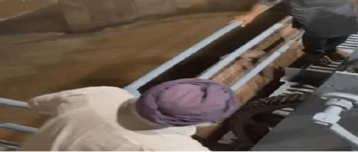 Summer Express - मोहाली में बाढ़ का डर, प्रशासन ने किया आपात कंट्रोल रूम एक्टिव