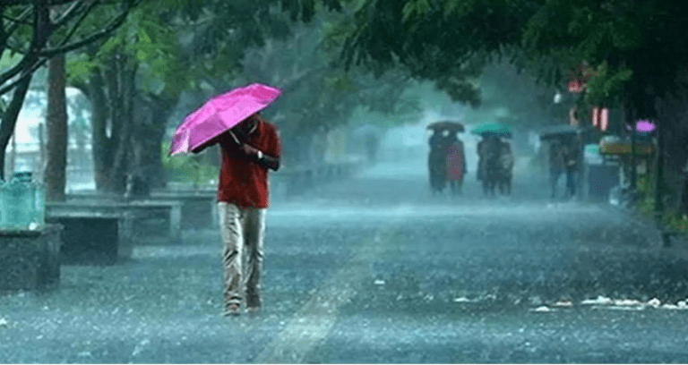 Summer Express - देश में मानसून हुआ फिर सक्रिय, भारी बारिश का अलर्ट जारी