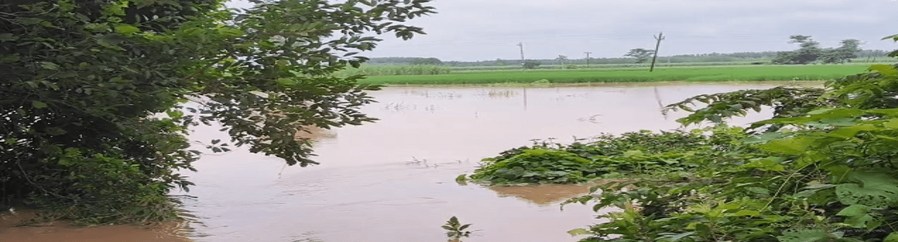 Summer Express - यमुनानगर में सोम नदी का कहर, सड़क डूबने से टूटा गांवों का संपर्क