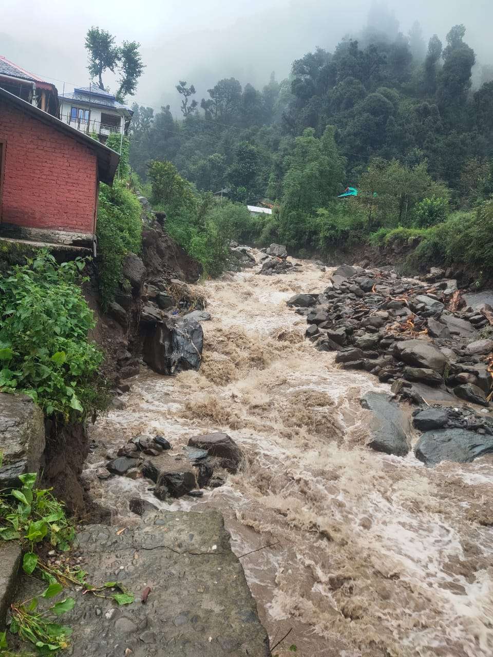 Summer Express - चौहारघाटी में बादल फटने से तबाही: 6 पुल बहाए, वाहन-दुकान क्षतिग्रस्त, किसानों को करोड़ों का नुकसान