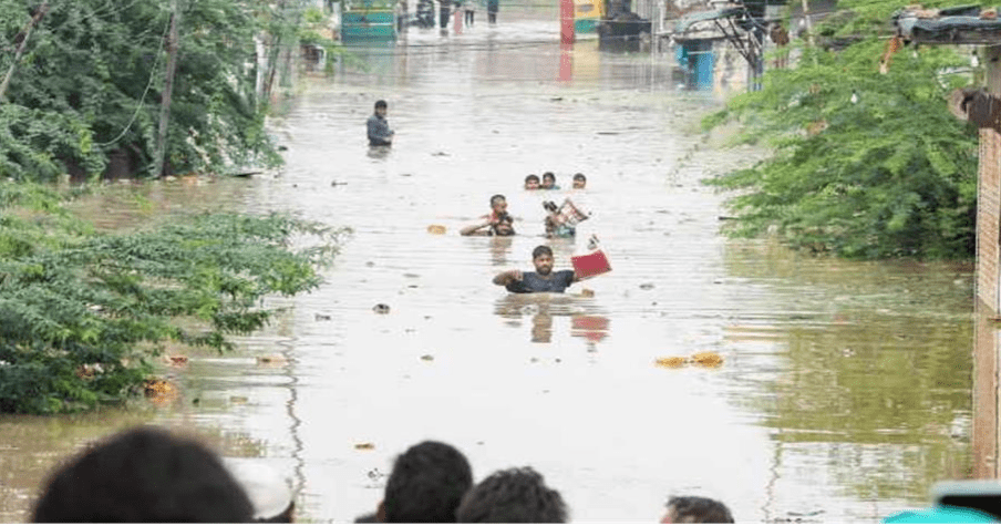 Summer Express - हरियाणा में बाढ़ का कहर जारी, फसलें और जमीन अभी भी डूबी