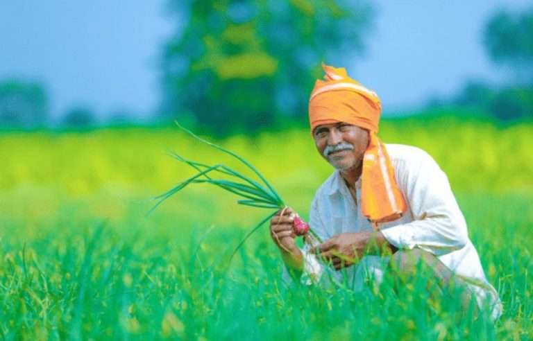 Summer Express - हरियाणा सरकार ने बाढ़ पीड़ित किसानों के लिए राहत पैकेज किया जारी