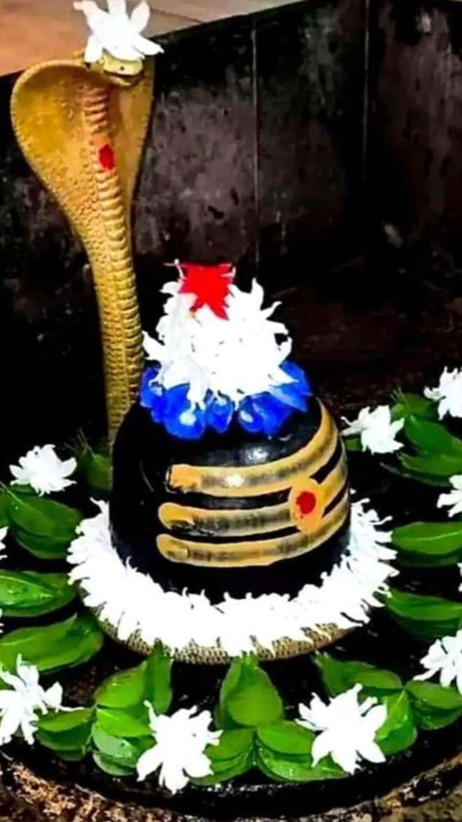 Summer Express - शिव भक्तों के लिए विशेष जानिए — क्यों नहीं चढ़ाया जाता केतकी का फूल शिवलिंग पर