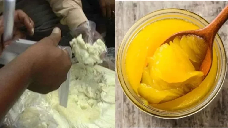 Summer Express - सिरसा में नकली घी की जांच अभियान तेज, बड़े ब्रांड भी जांच के दायरे में