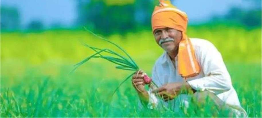 Summer Express - करनाल के गन्ना किसानों के लिए बड़ी खुशखबर, मिलेगी प्रोत्साहन राशि