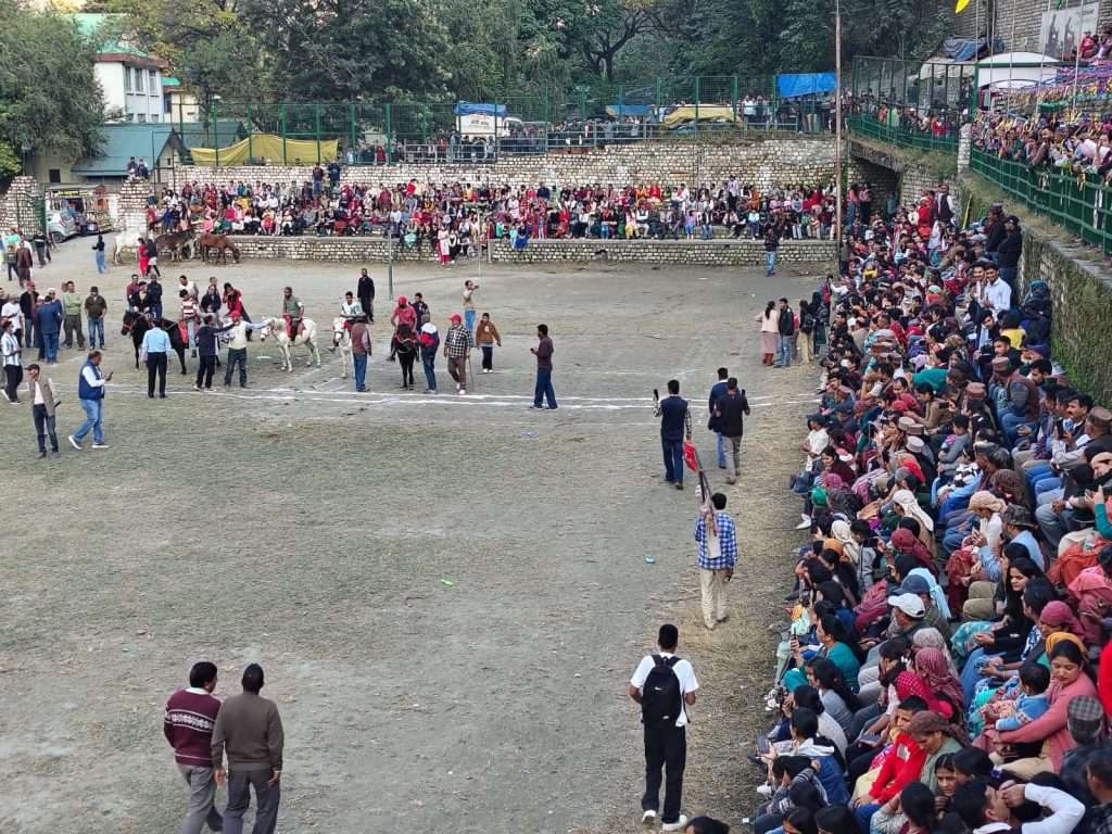 Summer Express - घोड़ों की टापों से गूंजा रामपुर, लवी मेले में दिखी 282 अश्वों की झलक
