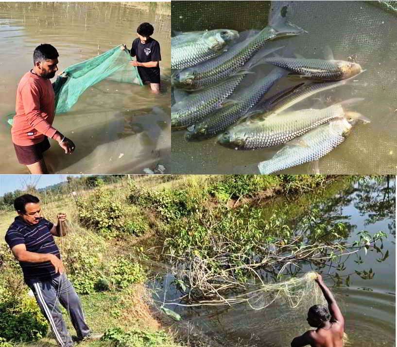 Summer Express - नई दिशा नई पहल: मुख्यमंत्री कार्प मत्स्य पालन योजना से ग्रामीण क्षेत्रों में बढ़ा रोजगार और आय