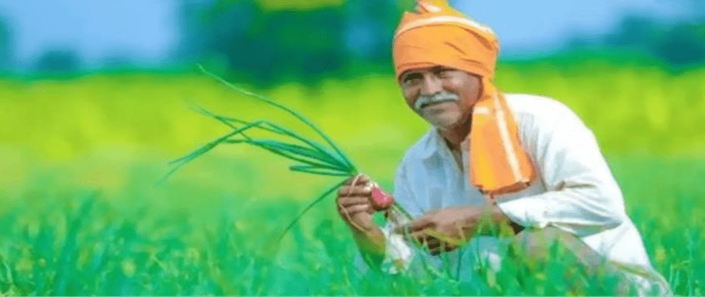 Summer Express - हरियाणा सरकार ने गेहूं बीज सब्सिडी बढ़ाई, किसानों को मिलेगा लाभ