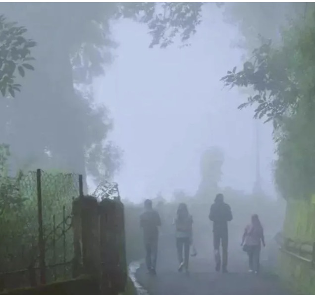 Summer Express - कैथल में कड़ाके की ठंड और घना कोहरा, शीत लहर से लोग बेहाल