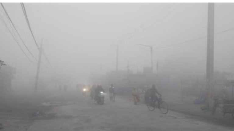 Summer Express - हरियाणा में कड़ाके की ठंड, घना कोहरा और शीतलहर का कहर