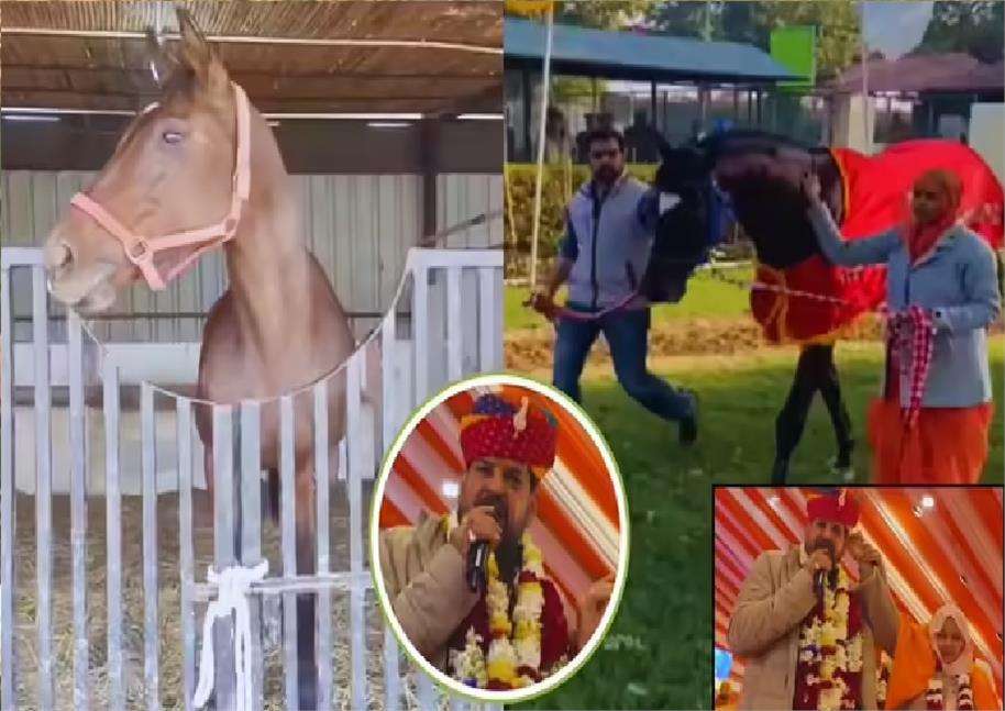 Summer Express - हरियाणा से गोंडा तक चर्चा, बृजभूषण को मिला महंगा घोड़ा