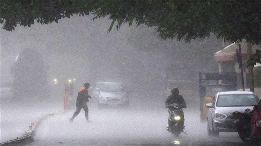 Summer Express - घने कोहरे से लुधियाना बेहाल, 22–23 जनवरी को आंधी-बारिश की चेतावनी