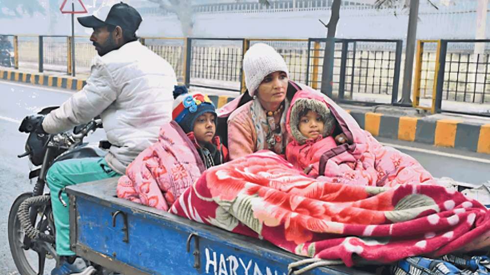 Summer Express - हरियाणा में हल्की बारिश से फसलों को फायदा, प्रदूषण बना प्राकृतिक खाद