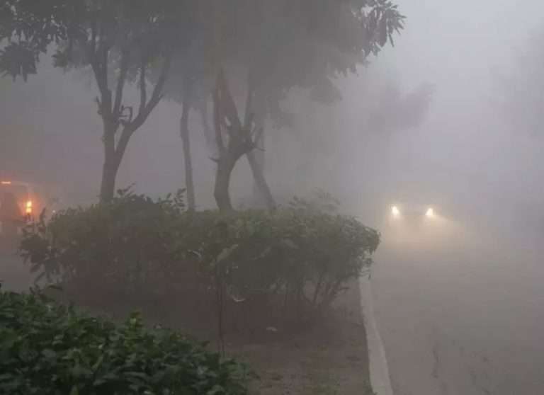 Summer Express - हरियाणा में घना कोहरा, शीत लहर का कहर, ऑरेंज-यलो अलर्ट जारी