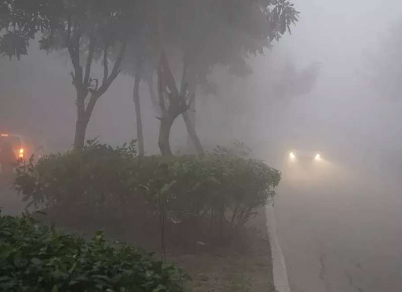 Summer Express - हरियाणा में घना कोहरा, शीत लहर का कहर, ऑरेंज-यलो अलर्ट जारी