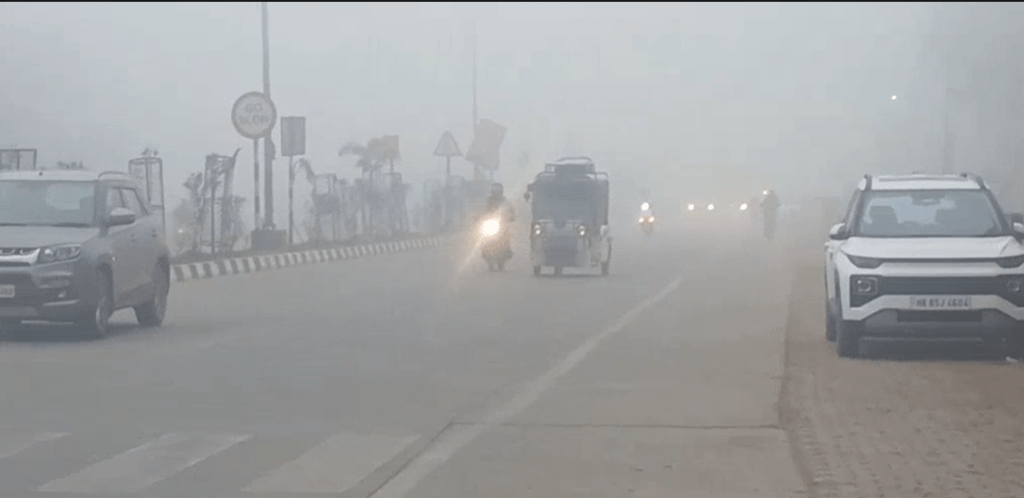 Summer Express - अंबाला में कड़ाके की ठंड और घनी धुंध, स्कूल बंद