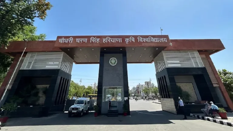 Summer Express - एचएयू हिसार में पीएचडी छात्रा से छेड़छाड़, दो प्रोफेसर सस्पेंड