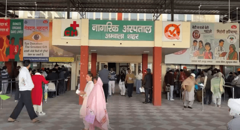 Summer Express - अंबाला में डॉग बाइट की बढ़ती घटनाएं, स्वास्थ्य विभाग ने कसी कमर
