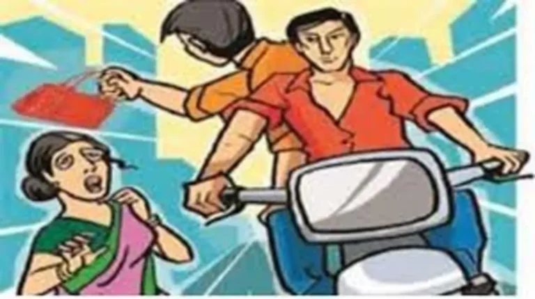 Summer Express - अंबाला में बाइक सवार झपटमारों का आतंक, महिला से बैग छीनकर फरार