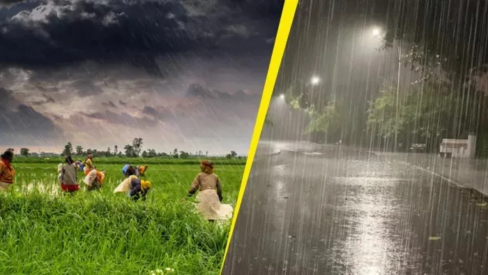 Summer Express - हरियाणा में बारिश से बदला मौसम, किसानों की चिंता बढ़ी