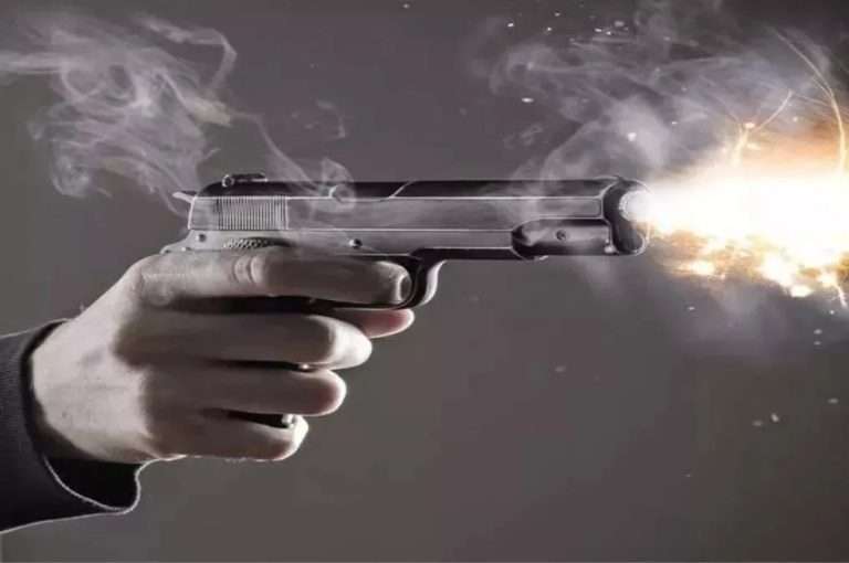 Summer Express - हांसी में सुभाष मलिक हत्याकांड आरोपी ने पुलिस पर की फायरिंग, जवाबी कार्रवाई में घायल