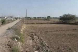 Summer Express - कुरुक्षेत्र में जमीन घोटाले का मामला, किसान के प्लॉट की फर्जी रजिस्ट्री का आरोप