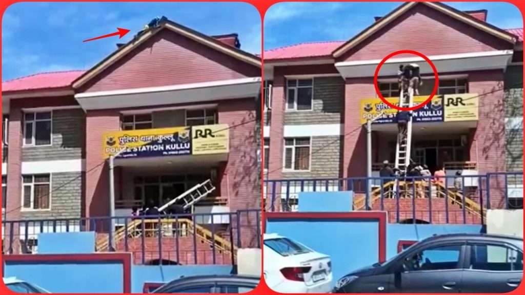 Summer Express - कुल्लू पुलिस थाने की छत पर चढ़ी महिला, गिरने से हुई घायल