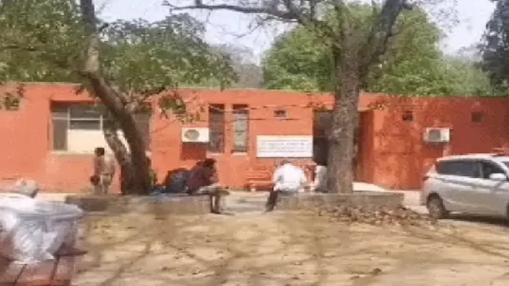 Summer Express - रोहतक में पुलिस हिरासत में व्यक्ति की मौत, परिजनों ने लगाए प्रताड़ना के आरोप