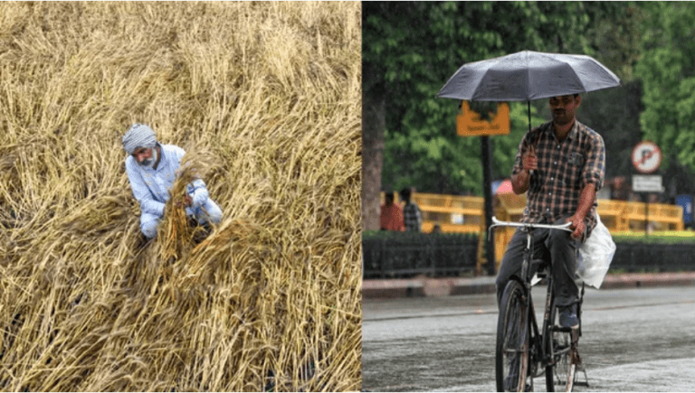 Summer Express - आंधी-बारिश और ओलावृष्टि से जनजीवन प्रभावित, पंजाब में फसलें तबाह