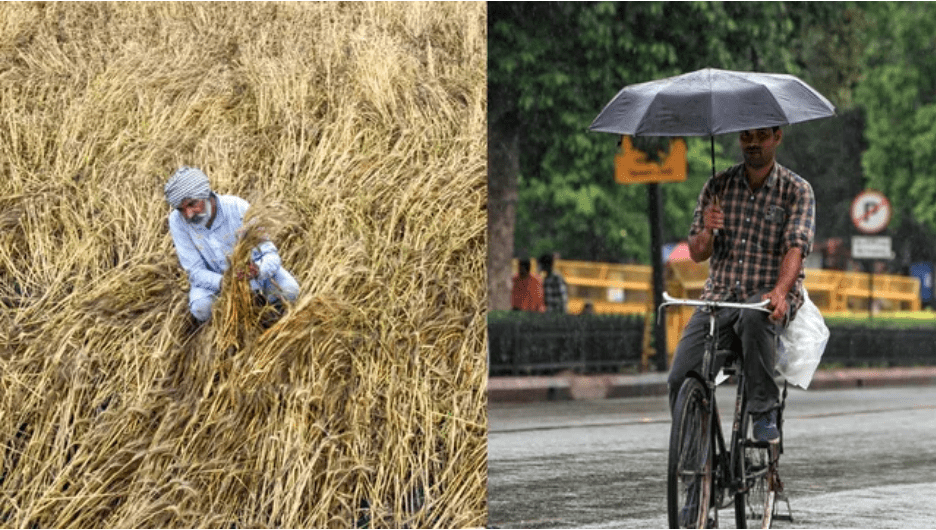 Summer Express - आंधी-बारिश और ओलावृष्टि से जनजीवन प्रभावित, पंजाब में फसलें तबाह